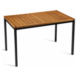 Lucy Robinia Wood Dining Table